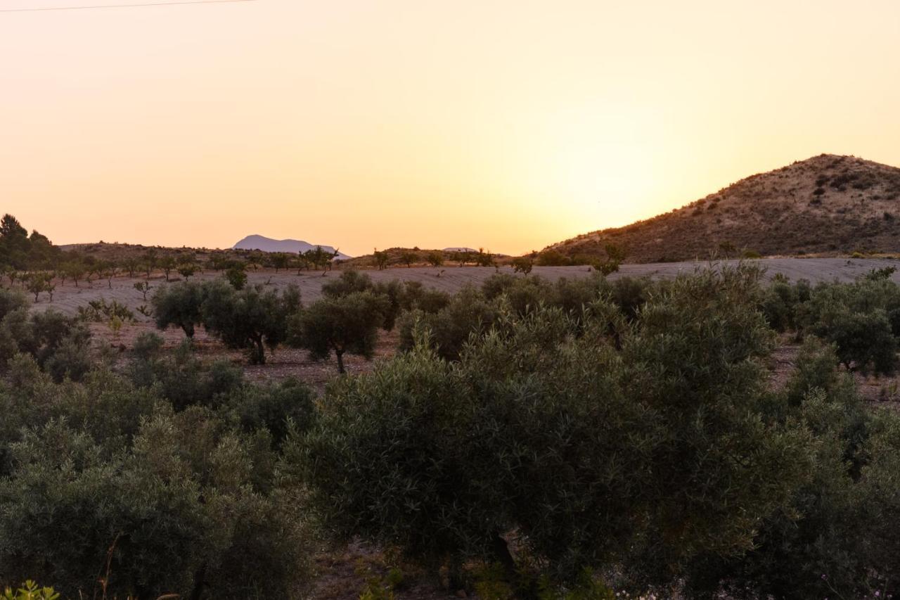 בית הארחה Complejo Rural Sol De Taberno מראה חיצוני תמונה